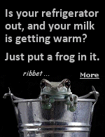 Before modern refrigeration, some people in Russia and Finland preserved milk by placing a live frog in it. Now science can explain why that works  and how it might help us save more than just milk. 